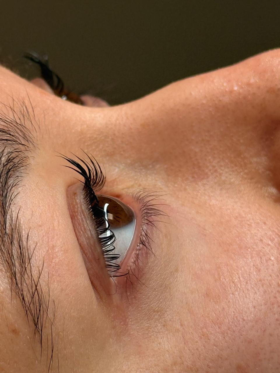 Pestañas y Cejas